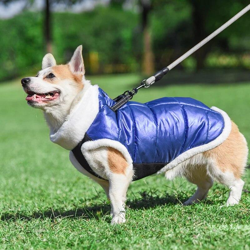 Winter Thickened Dog Clothes for Small Medium Dogs Cats Coat Waterproof Puppy Padded Jacket Reflective Yorkie Bulldog Costumes