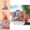 Cat Simulation 3d Plush Stuffed Toy Animal Doll Room Decoration Birthday Gift