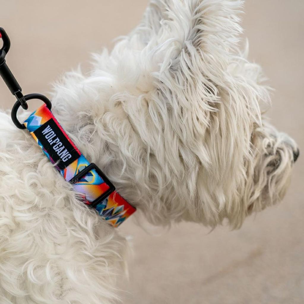 WOLFGANG WildWolf COLLAR wide x neck circumference (M size) 2.5cm 30-45cm [for medium-sized dogs]