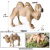 Wild Safari Animal Figurines: Giraffe, Elephant, Rhinoceros, Brown Bear, Tiger, Lion, Leopard, Hippopotamus - Solid Cognitive Toys