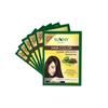 Sunny Herbals Coloração para Cabelos Castanho Escuro 20g X Pacote com 6 | Tonalidade Natural de Longa Duração | Cabelo Macio e Brilhante Unissex