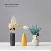 HANDUNYOU Modern Minimalist Vase with Dried Flowers Set