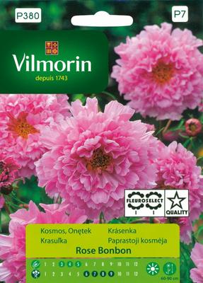 Cosmos full Rose Bonbon pink seeds 0,5g -