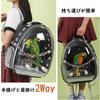 Hopeholic Bird Carrier Bag for and with Perching Food and Breathable Transparent Storage Space for and Evacuation Parakeets, Parakeets, Cockatiels,