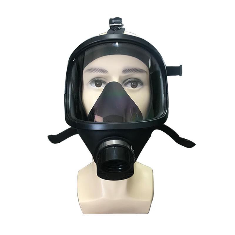 Lieve Full Face Gas Mask