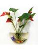 Pot Wall Hanging Mount Bubble Aquarium Bowl Fish Aquarium Home Decoration