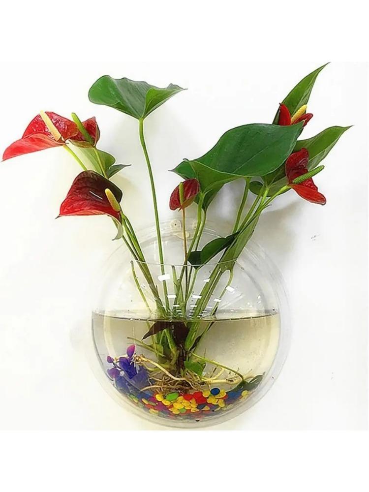 Pot Wall Hanging Mount Bubble Aquarium Bowl Fish Aquarium Home Decoration