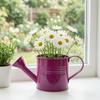 Colorful Iron Floral Container Metal Watering Can for Outdoor Plants, Small Kettle with Handle Decorative Plant Jug Succulents Garden Flowers,
