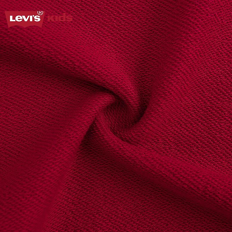 Levi's 2025 Boys' Hooded Sweatshirt