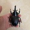 Biographical Analysis of Deer Antler Beetle and Claw Shaped Insect Beetle Gacha Simulation Animal Movable Joints Figure Toys