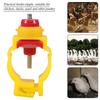 20pcs/pack Automatic Chicken Feeder Nipples   Poultry Water Drinking Dispenser for 20mm Pipe