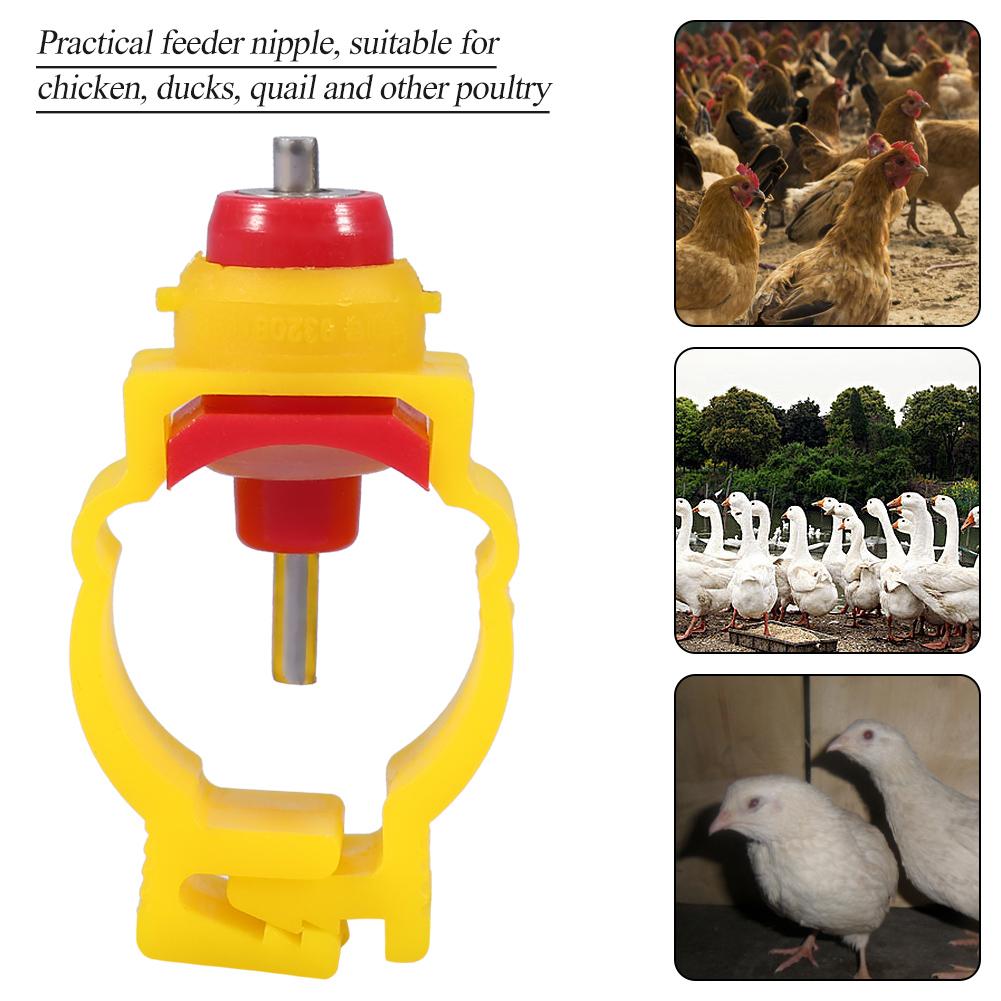 20pcs/pack Automatic Chicken Feeder Nipples   Poultry Water Drinking Dispenser for 20mm Pipe