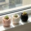 3D Printed Rose Shaped Planter Mini Flower Pot for Succulents Herbs Small Plants Cute Tiny Cactus Pot for Office Home Desktop Windowsill Garden Decor