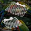 Steel Parrot Metal Mesh Platform Wear Resistant Parrot Perches Stand  for Bird Cage