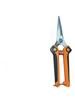 Stainless Steel Pruning Shears Set for Garden and Fruit Tree Branches