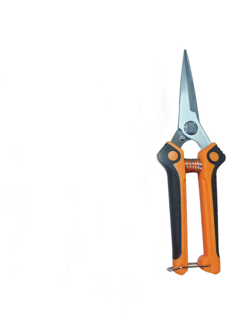 Stainless Steel Pruning Shears Set for Garden and Fruit Tree Branches