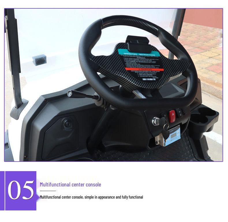 Electric Sightseeing and Delivery Van for Hotels and Campuses