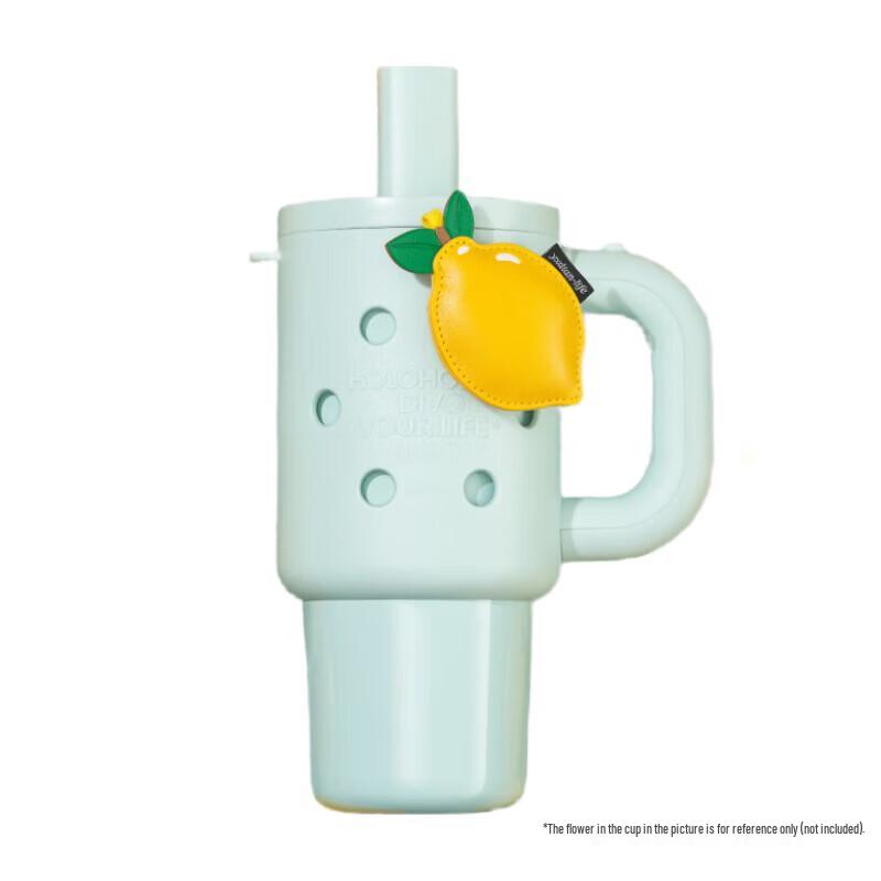 HOLOHOLO Large Capacity Insulated Tumbler with Straw