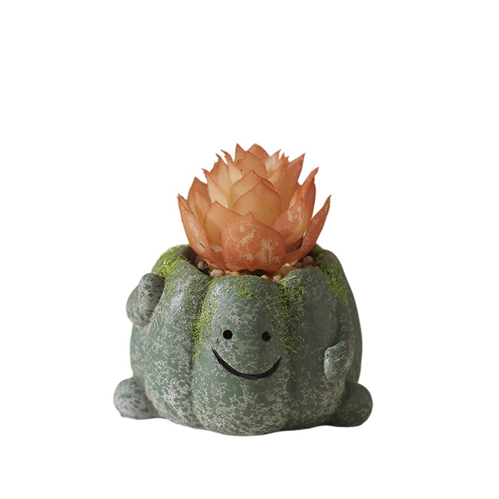 Green Plant Decoration, Indoor Desktop Home, Tea Table, Creative  Decoration, Potted Plants, Bonsai