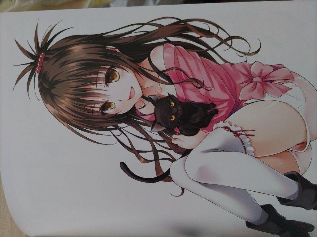 [USED] Collector's Edition Comic To Love-Ru Darkness Art Book Harem Gold