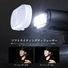 NEEWER Basics Mini Camera Flash Strobe LCD Strobe Light for DSLR Digital Standard Hot Shoe N12 Speedlight, Compact, 5600K, GN12, 500-700 Flash,