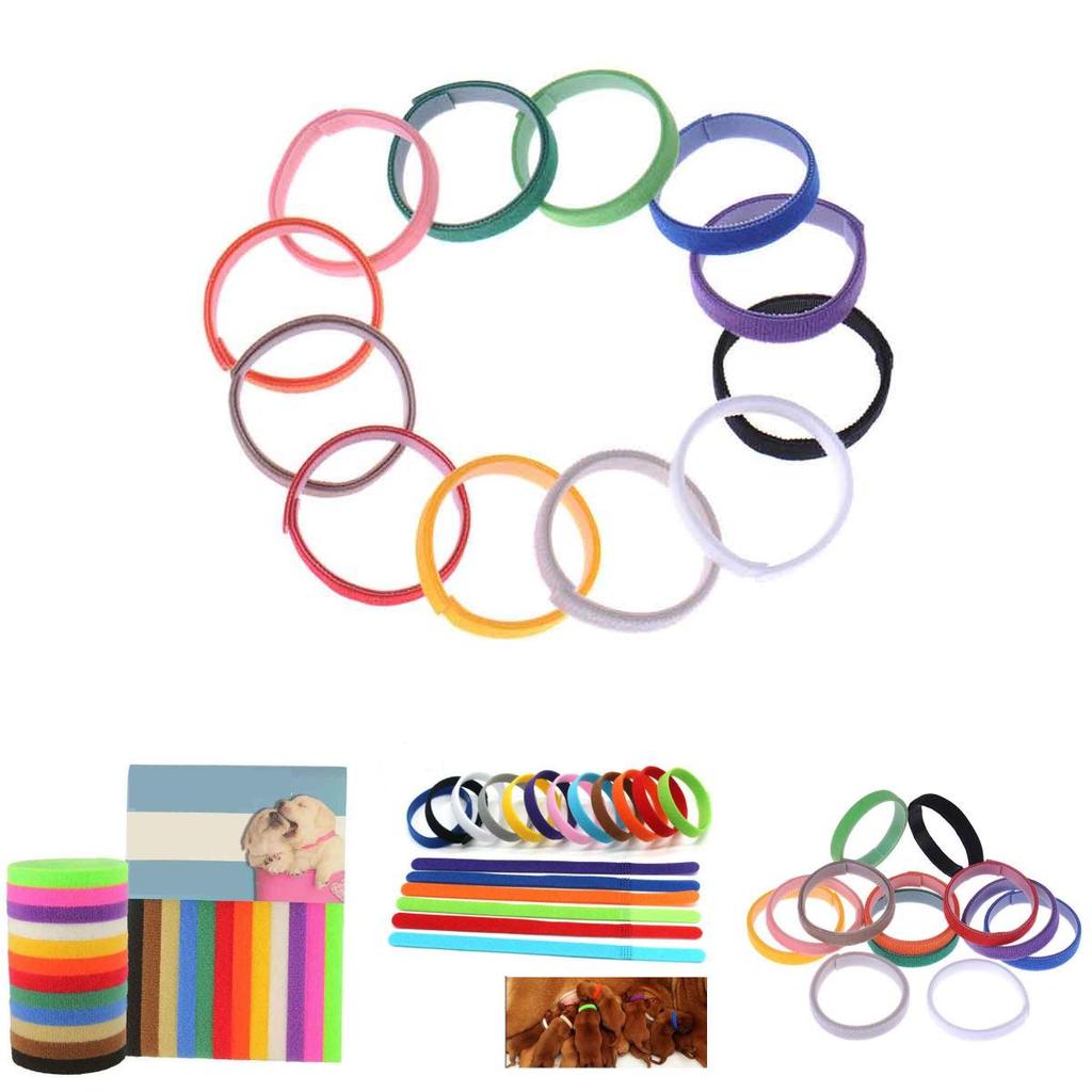 Id 12pcs Adjustable Collars Velcro Whelping Bands Puppy Kitten Newborn Tags Pet