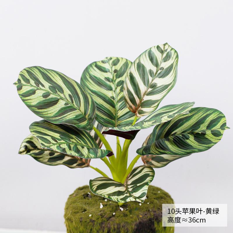 Nordic Style Simulation Green Plant Canna Potted Plant Office Fake Green Plant Landscaping Ornament Real Leaves