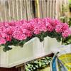 Silk Begonia Flower Artificial Plants 35CM Artificial Flower  Table Decoration