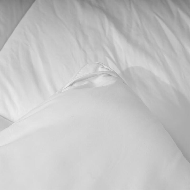 

Lai Shenghuo Embossed Brushed All-Season Quilt