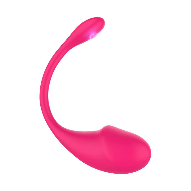 Women's Wearable Remote Control Vibrator with APP