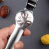 Stainless Steel Chestnut Opener