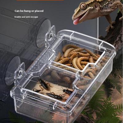 Pet Reptile Transparent Feeder Anti-Escape Food Bowl Worm Live Container Mini Reptile Pet Bowls With Suction Cups Pet Supplies