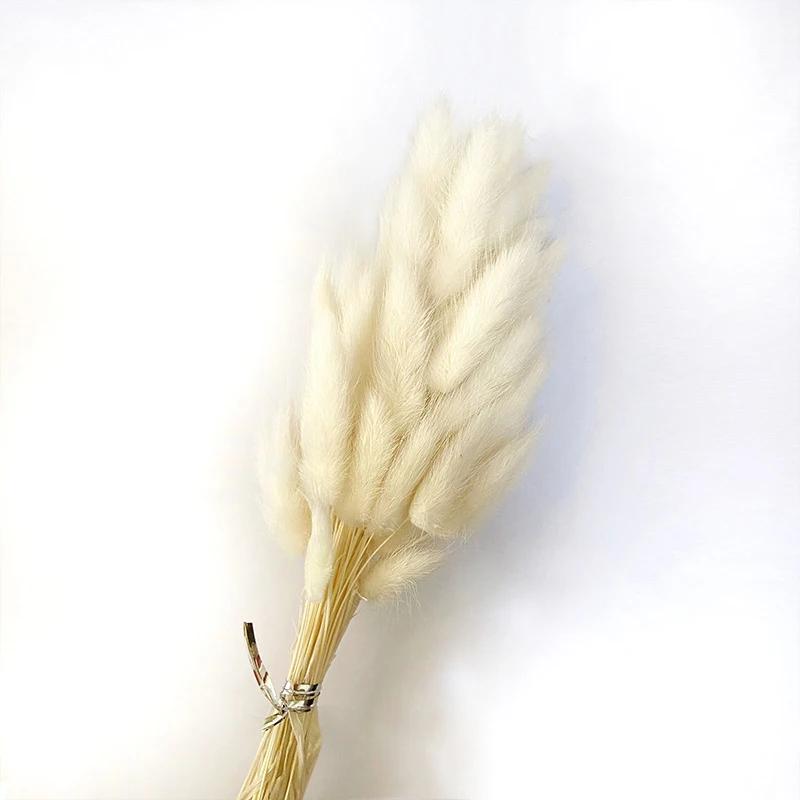 60 Stück Natur Hasenschwanzgras Trockenblumenstrauß Hochzeitsfeier Deko Flauschiges Pampasgras Weihnachten DIY Blumengesteck