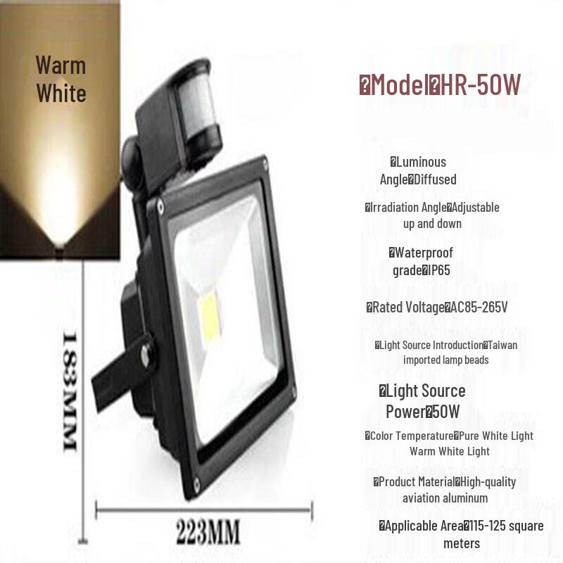 Rongyu 50W Waterproof Motion Sensor Outdoor LED Light