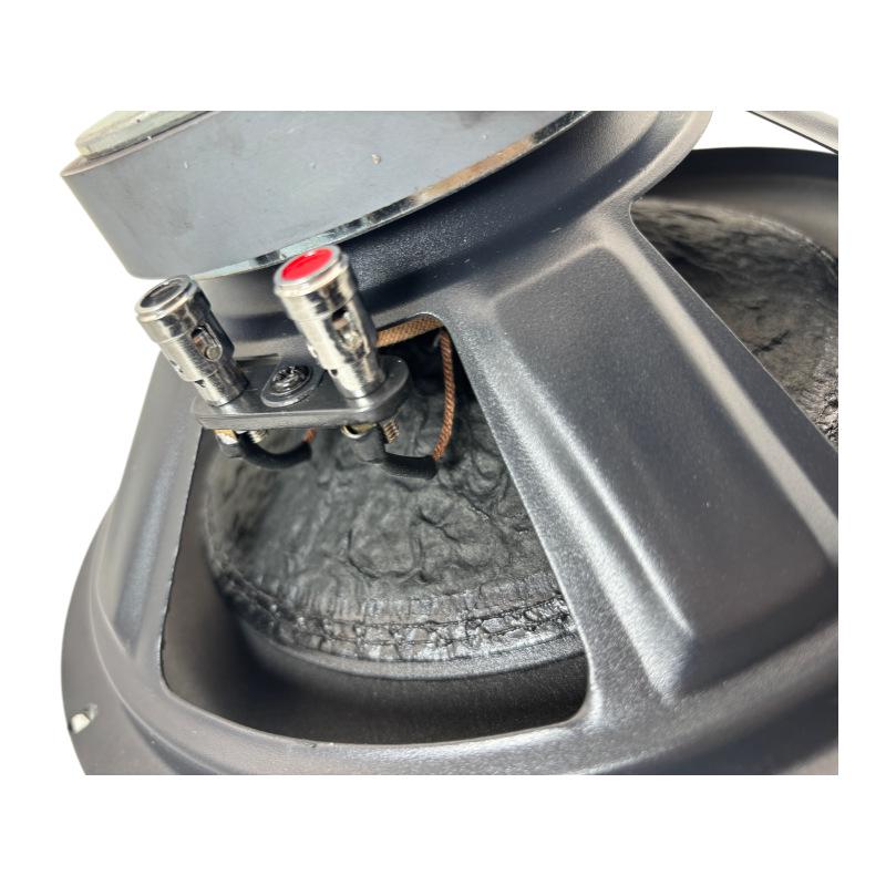 10" Krachtige Audiophile Auto Subwoofer Luidspreker