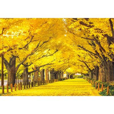 [Made In Japan] Beverly 300 Piece Jigsaw Puzzle Jingu Gaien Ginkgo Trees (26 X 38 Cm) 300-105