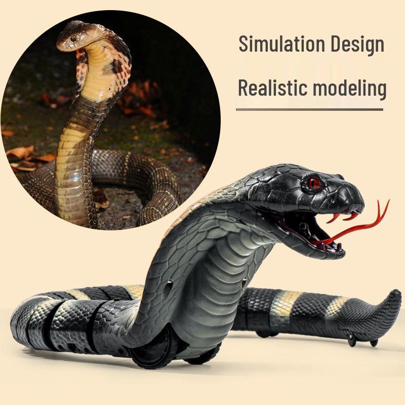 Novelty Remote Control Infrared Snake and Spider Toy