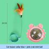 Interactive Feather Cat Teaser with Bell & Collar