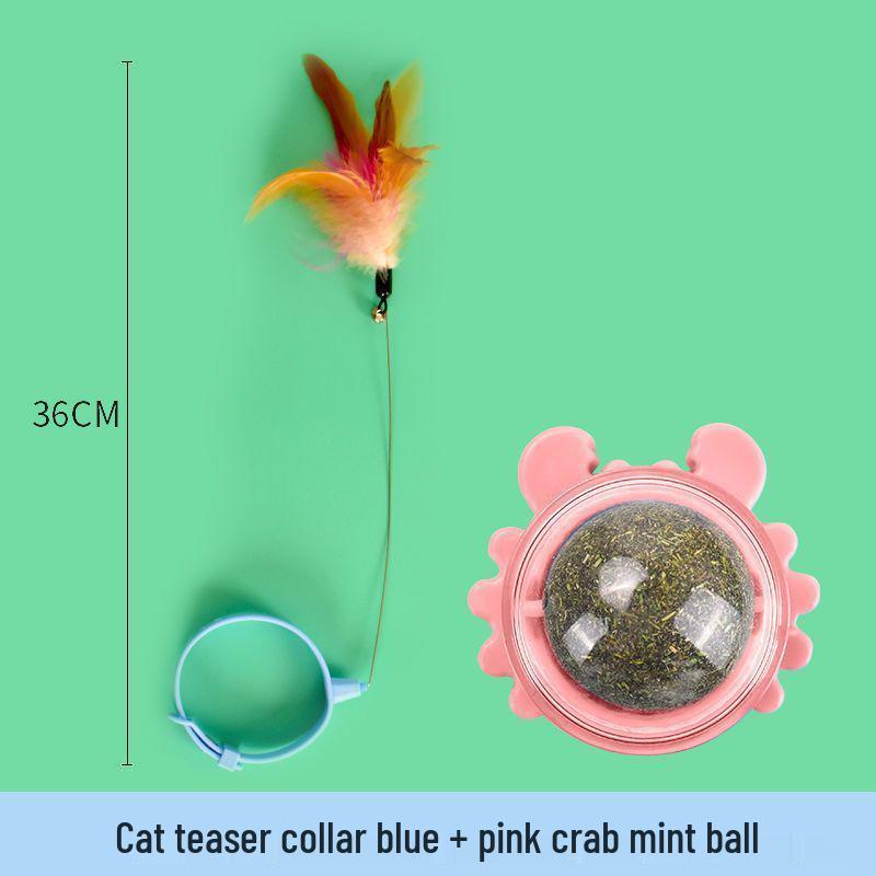 Interactive Feather Cat Teaser with Bell & Collar