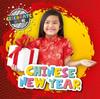 The Chinese New Year Book