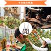 Fishing Pliers, Hook Releaser, Power Pliers, Rust-Resistant, Multi-Function Fishing Tackle, Hook Remover, Line Cutter, for Outdoor Fishing,