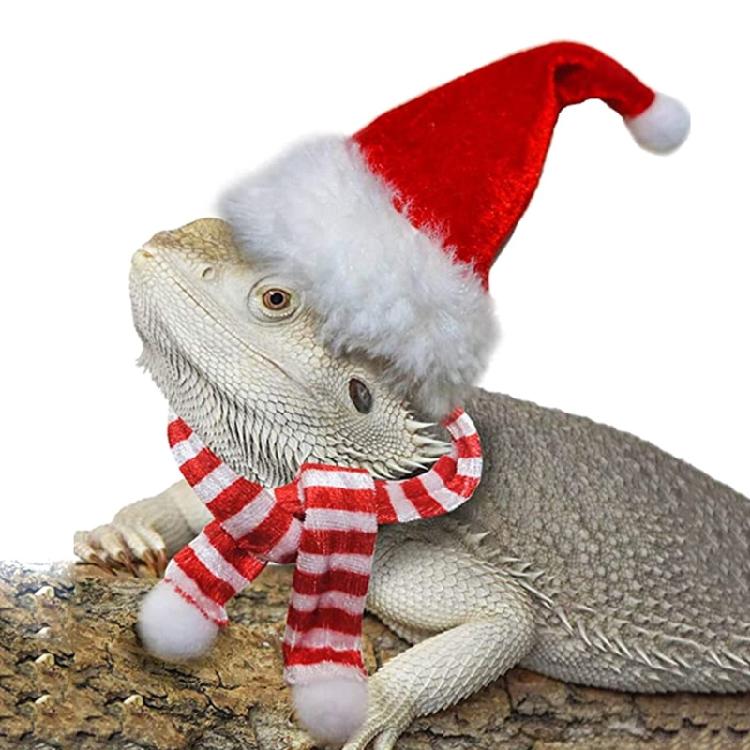 Lizard Leash Harness Set Christmas Costume Hat+Scarf for Gecko Hamster Ferret