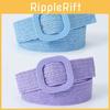 Elegant Korean Style 4cm Square Buckle Pp Grass Elastic Decorative Waist Belt For Women In Charming Candy Colors