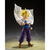S.h.figuarts Dragon Ball Super Saiyan Son Gohan  The Fighter Who Surpassed Goku   Reissue 
