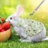 Set Pettorina e Guinzaglio per Animali Piccoli con Trazione Pettorina Regolabile Conigli Pettorina da Esterno per Addestramento Animali Controllo Facile