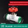 מחבר מהיר לצינור מים PPR - תקע ישיר 20/25 PE למים קרים/חמים (אין צורך בריתוך חם)