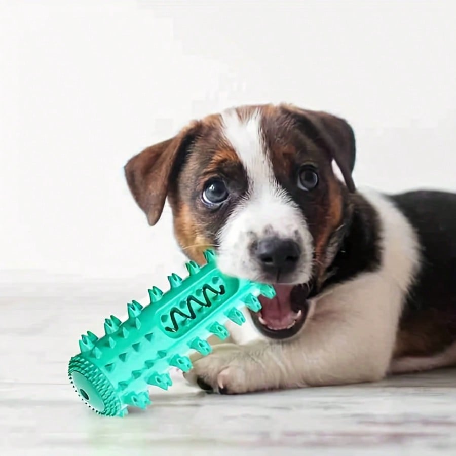Dental Chew Toy for Dogs – Tartar Control Teeth Cleaning Chew, Satisfies Natural Urge To Gnaw & Promotes Fresh Breath