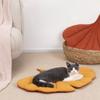 Kattmatta Sömnartiklar Husdjurssömnmatta Hundgolvmatta Bitbeständig Katt Kattrumsmatta