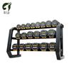 Xi Lu 275kg Decagonal PEV Dumbbell Set with 3-Tier Rack