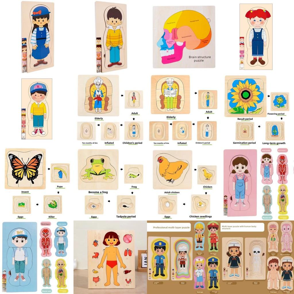 Children 3d Wooden Body Parts Puzzle Toy Anatomy Recognition Brain Development